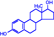 Estradiol Molecule.